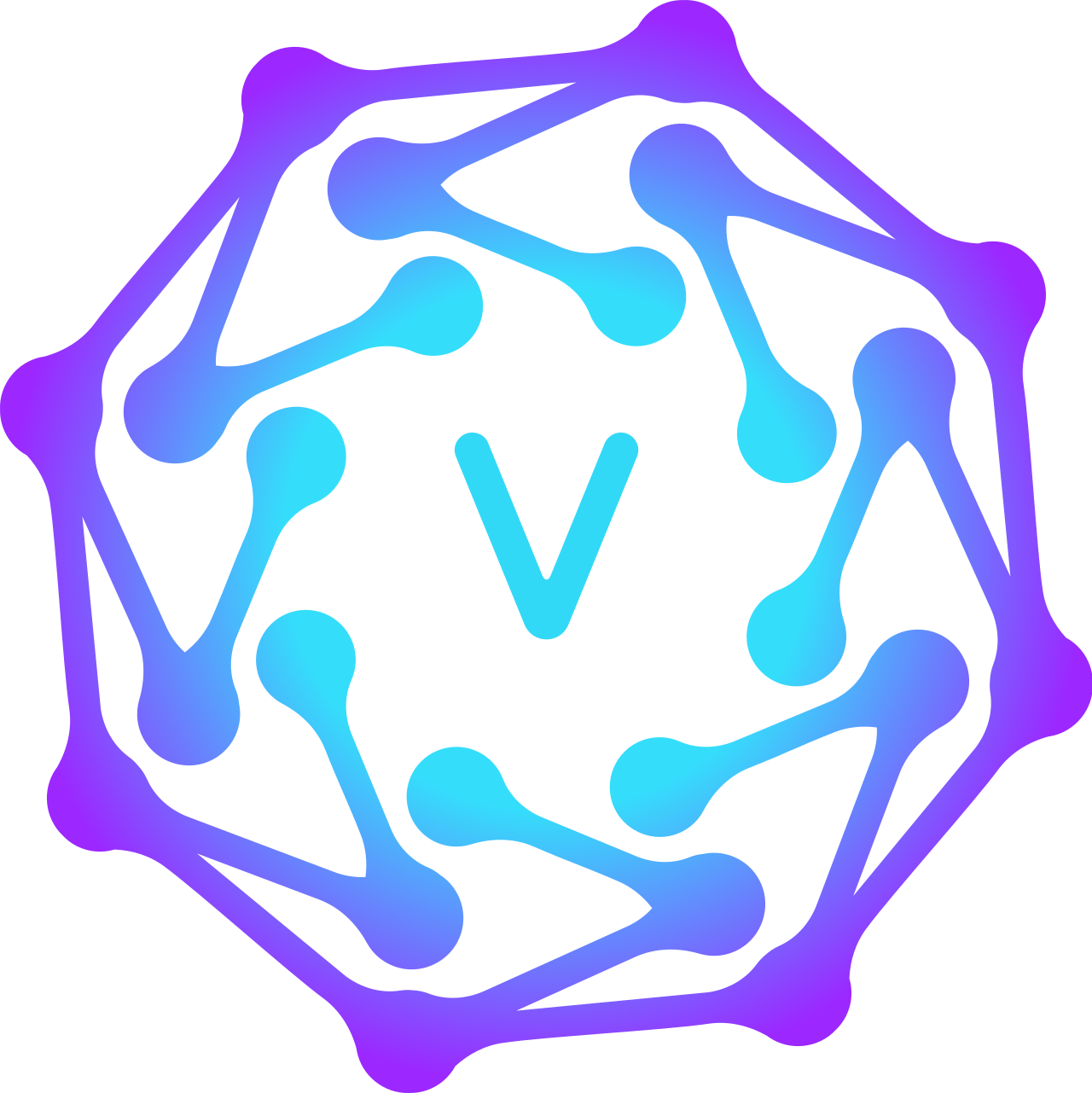 VeilNet Aether